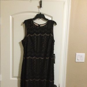 Adrianna Papell Striped Lace Shift Dress in black.